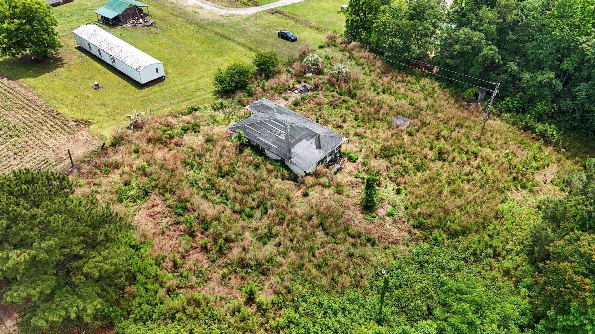 2149 Olive Dr.  Photo 18