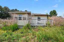 2149 Olive Dr.  photo 4