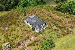 2149 Olive Dr.  photo 4