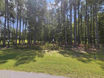Lot 6 Stewart Landing Drive, Prosperity, SC 29127