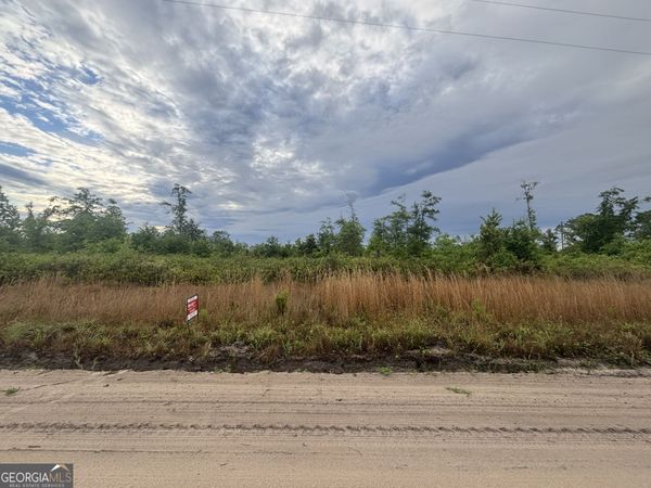 0 Riggs Lane, Claxton, GA 30417
