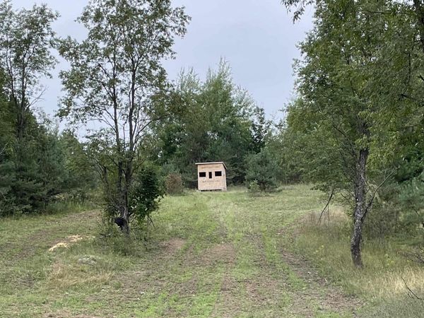 Peterson Road, Mancelona, MI 49659