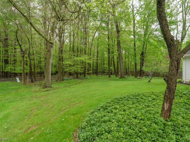 7749 Silver Fox Drive, Youngstown, OH 44512 Photo 8