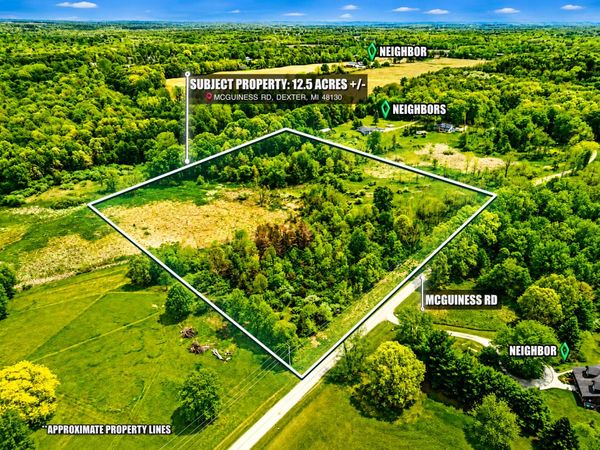 VL McGuiness Road, Dexter, MI 48130