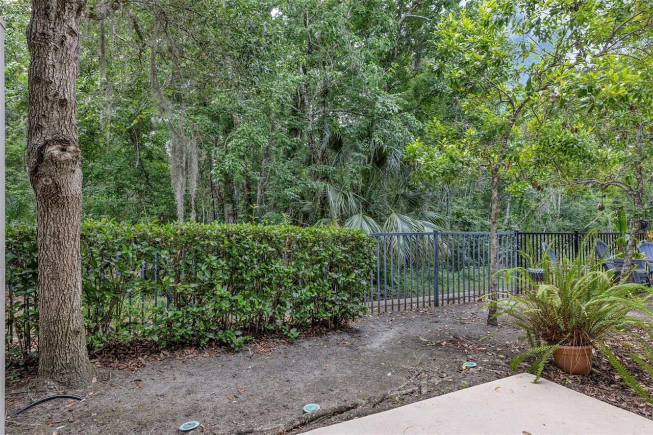 438 Reed Grass Drive , Oviedo, FL 32765 Photo
