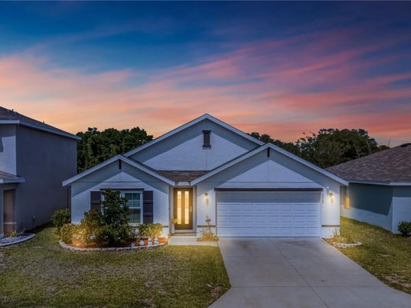 8669 TRIUMPH CIRCLE , WILDWOOD, FL 34785
