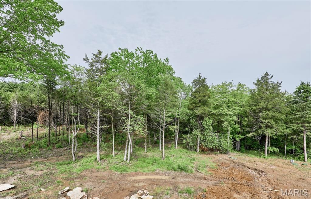 22595 Highway O, Wright City, MO 63390 Main Photo