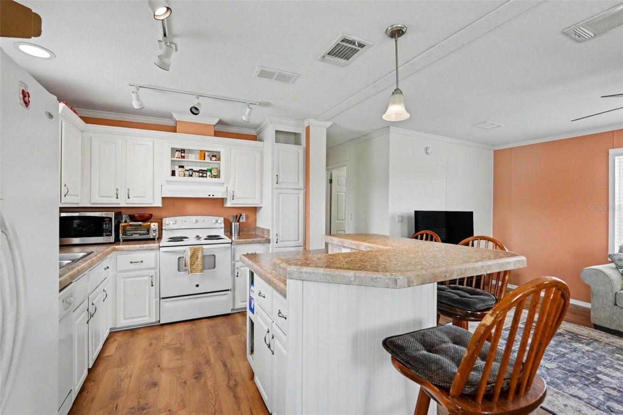 17161 Morris Bridge Road, Thonotosassa, FL 33592 Photo
