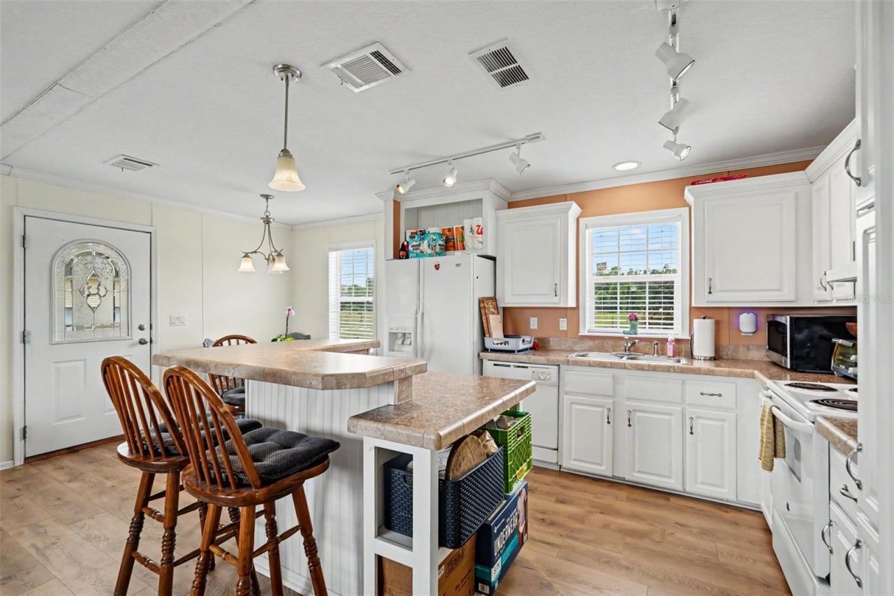 17161 Morris Bridge Road, Thonotosassa, FL 33592 Photo