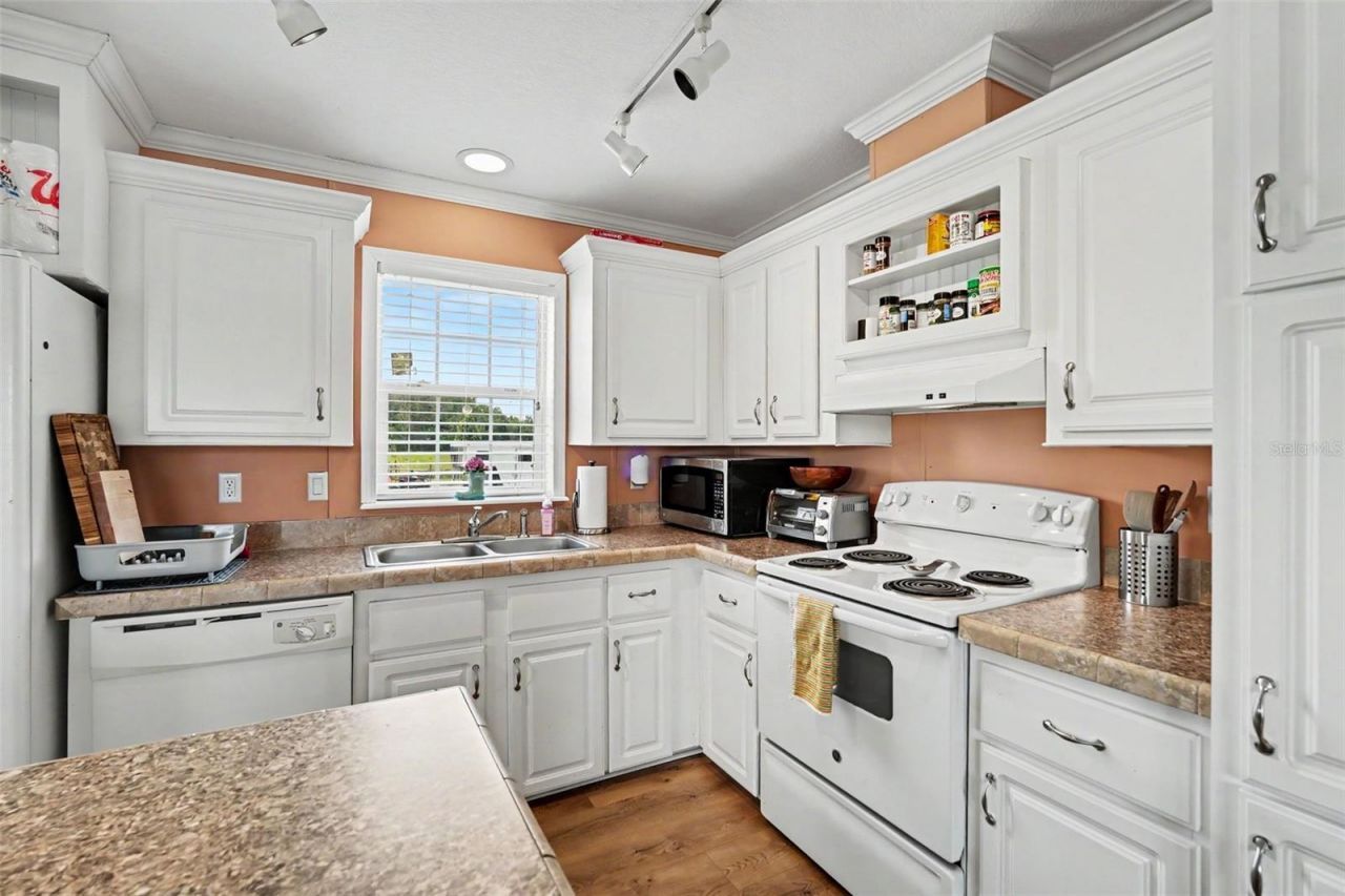 17161 Morris Bridge Road, Thonotosassa, FL 33592 Photo