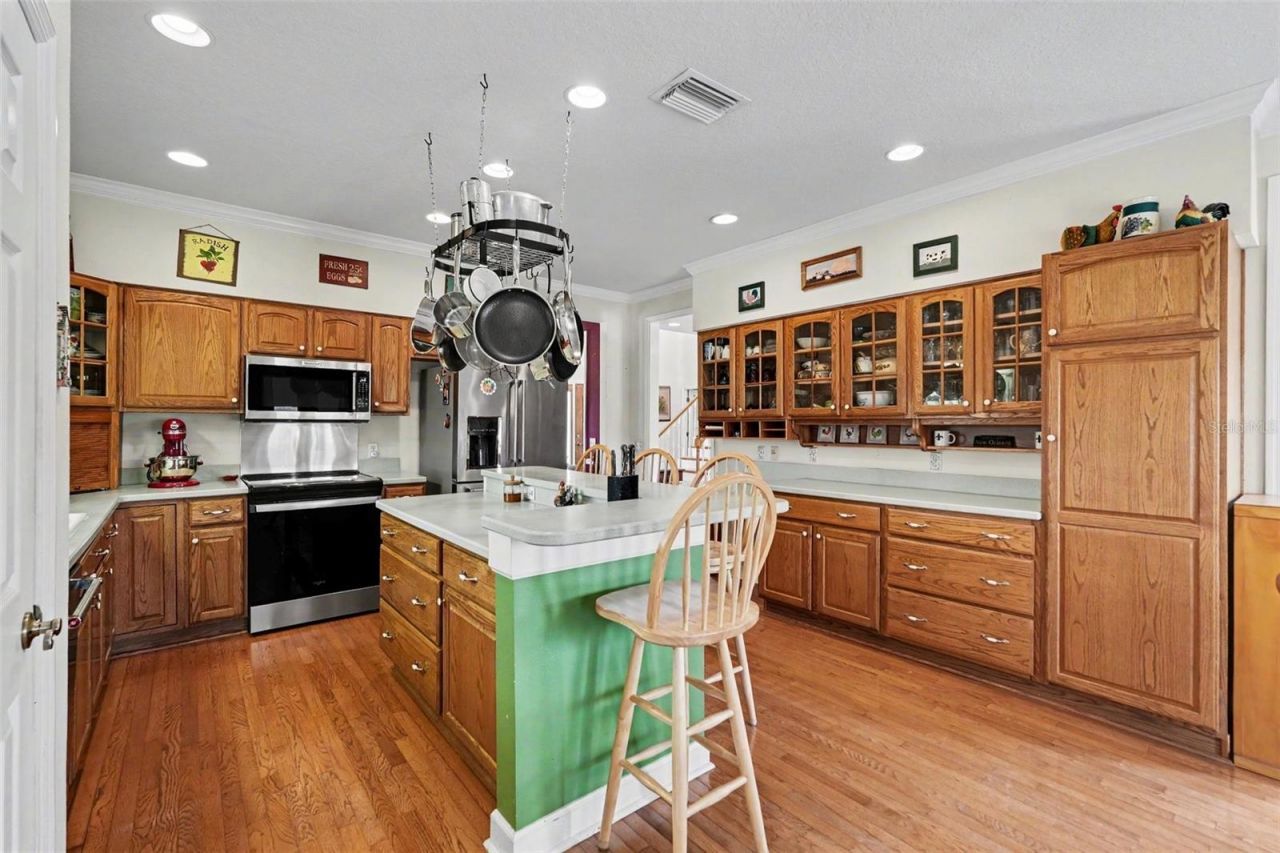 17161 Morris Bridge Road, Thonotosassa, FL 33592 Photo