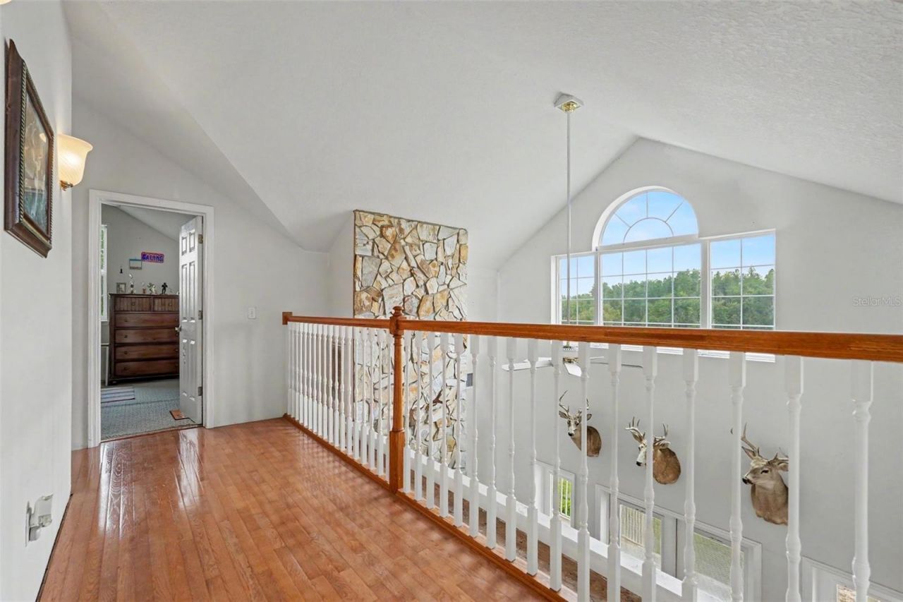 17161 Morris Bridge Road, Thonotosassa, FL 33592 Photo