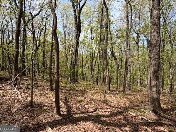 LOT 26 Falcons Nest, Unit 26, Jasper, GA 30143