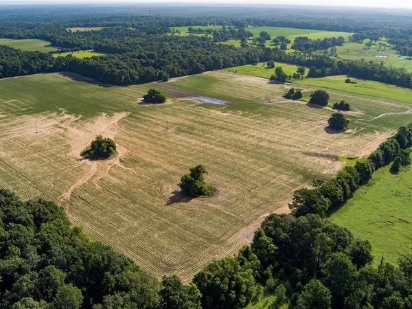 0 Ward Road , Wilmer, AL 36587