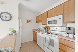 203 Double Eagle Dr.  photo 4