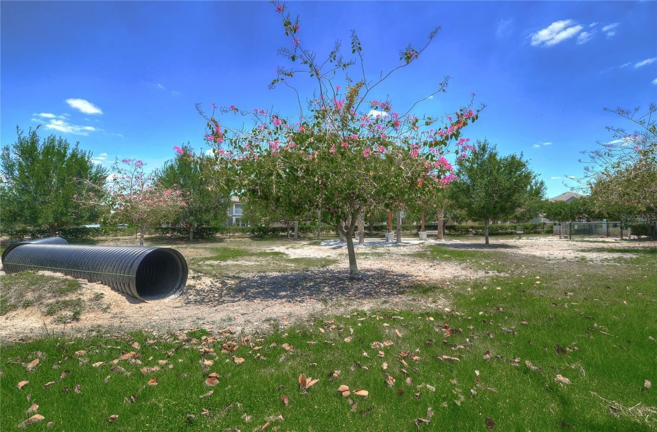 5301 Match Point Place , Lithia, FL 33547 Photo