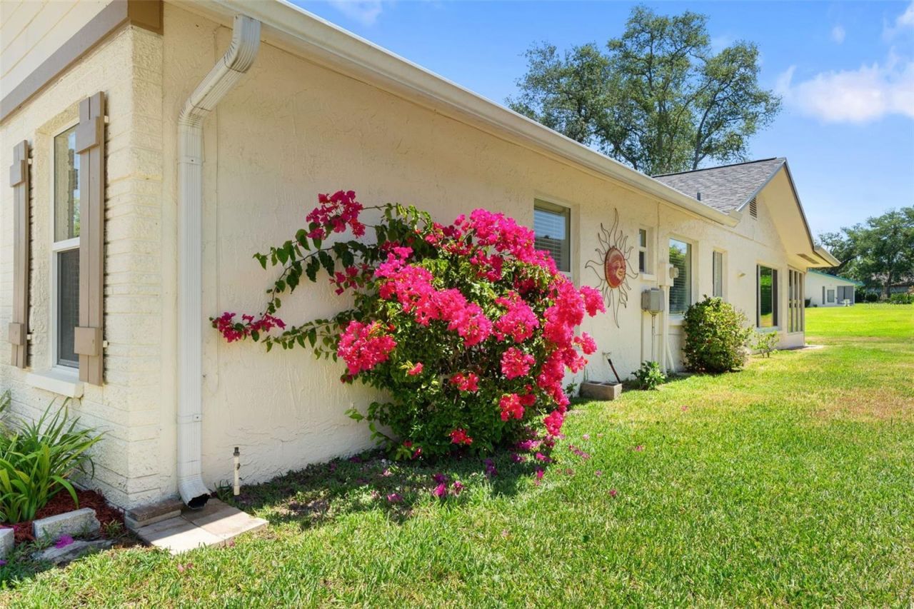 10520 Springwood Drive , Port Richey, FL 34668 Photo