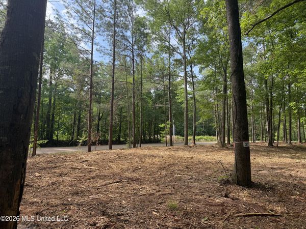 Evergreen Drive, Brandon, MS 39042