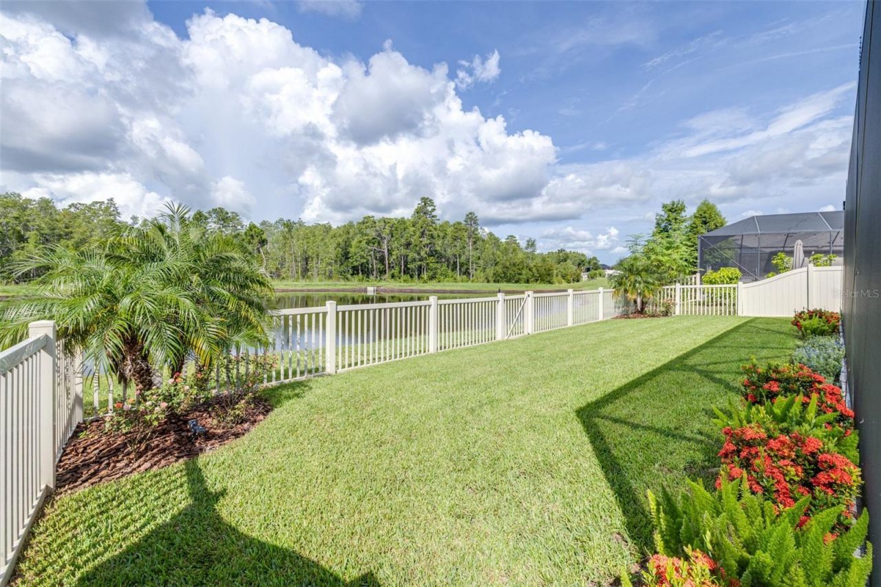 21896 Emory Oak Place , Land O Lakes, FL 34637 Photo