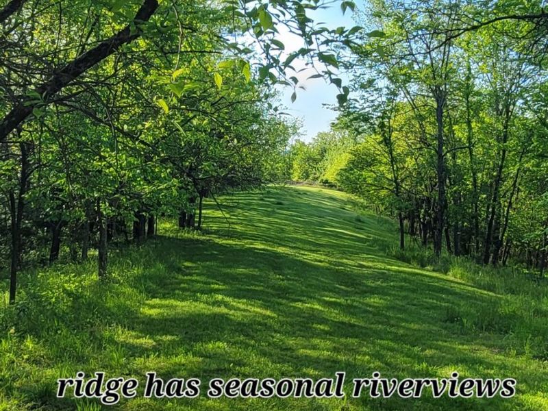 5433 Mary Ingles HWY, Foster, KY 41043 Photo 32