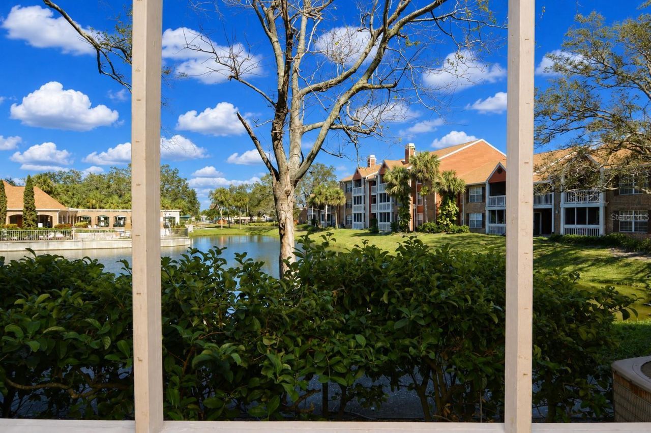 10200 Gandy Boulevard N, Unit 1225, Saint Petersburg, FL 33702 Photo