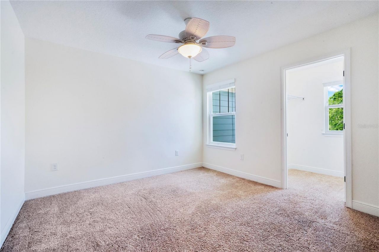 9009 Palm Key Avenue, Oldsmar, FL 34677 Photo