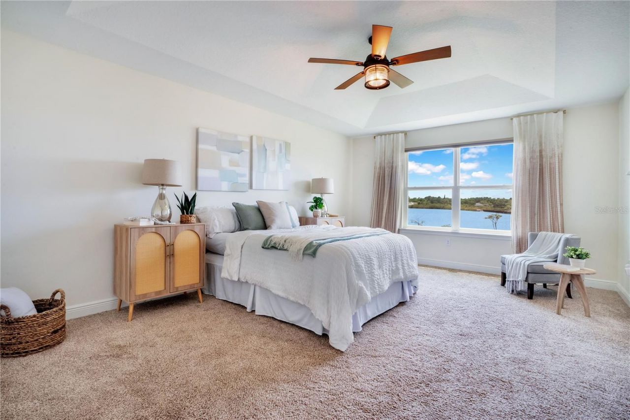 9009 Palm Key Avenue, Oldsmar, FL 34677 Photo
