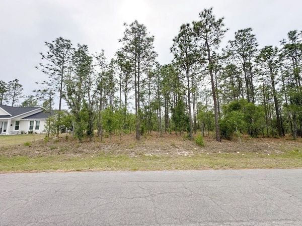 TBD NE 150TH , LOT 10 AVENUE , WILLISTON, FL 32696