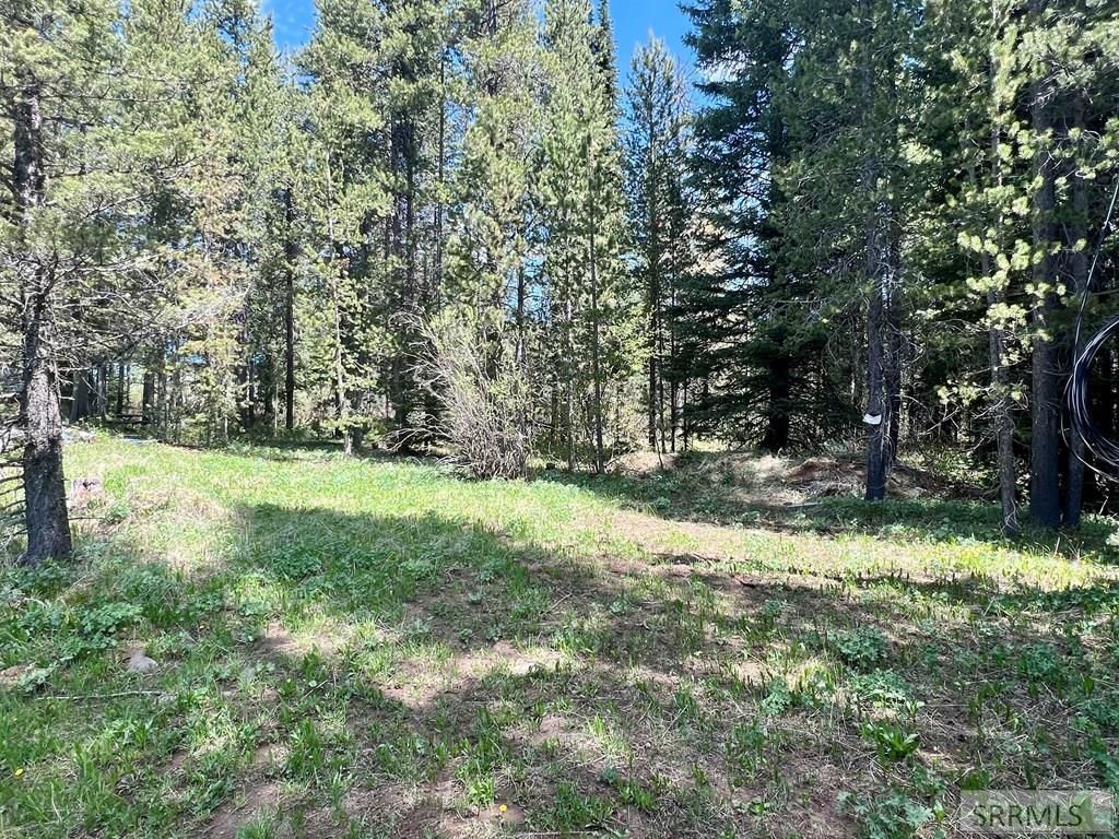 3547 Browning Road, Island Park, ID 83429 Main Photo