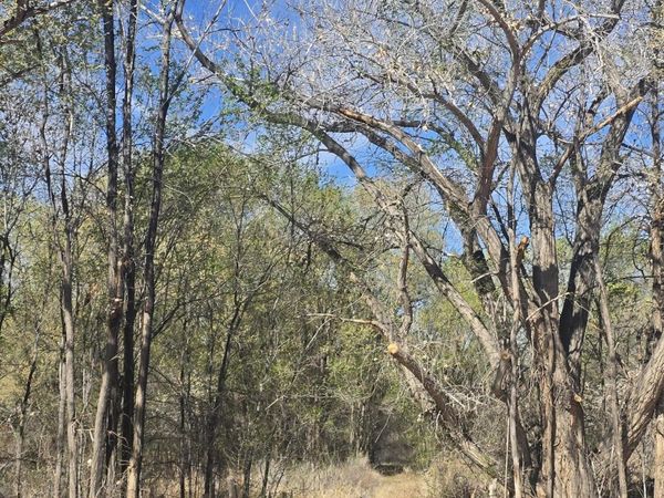 10169 Edith Boulevard NE, Albuquerque, NM 87124