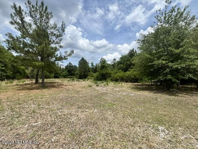 0 NW County Rd 229, Starke, FL 32091 Photo