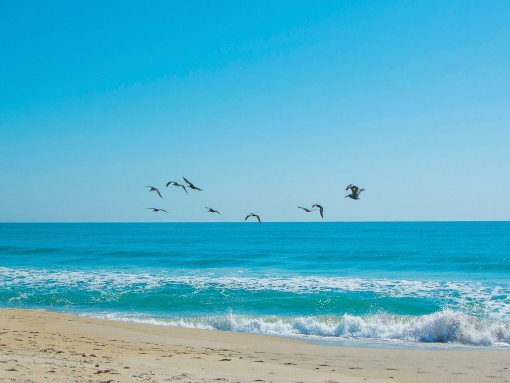 5167 N A1a Highway, Unit 504, Fort Pierce, FL 34949 Photo