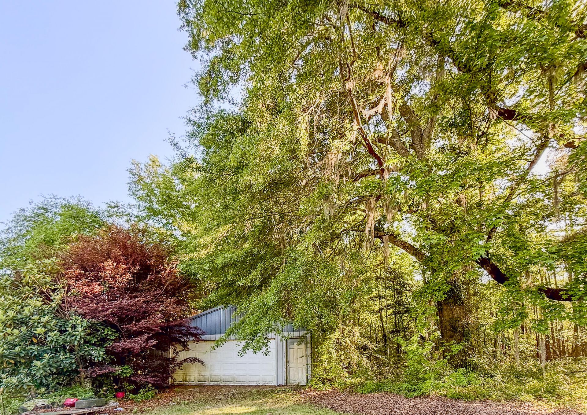 11481 Voorhees Road Photo 37