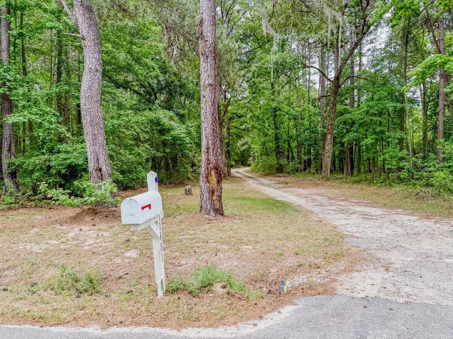 11481 Voorhees Road Photo 4