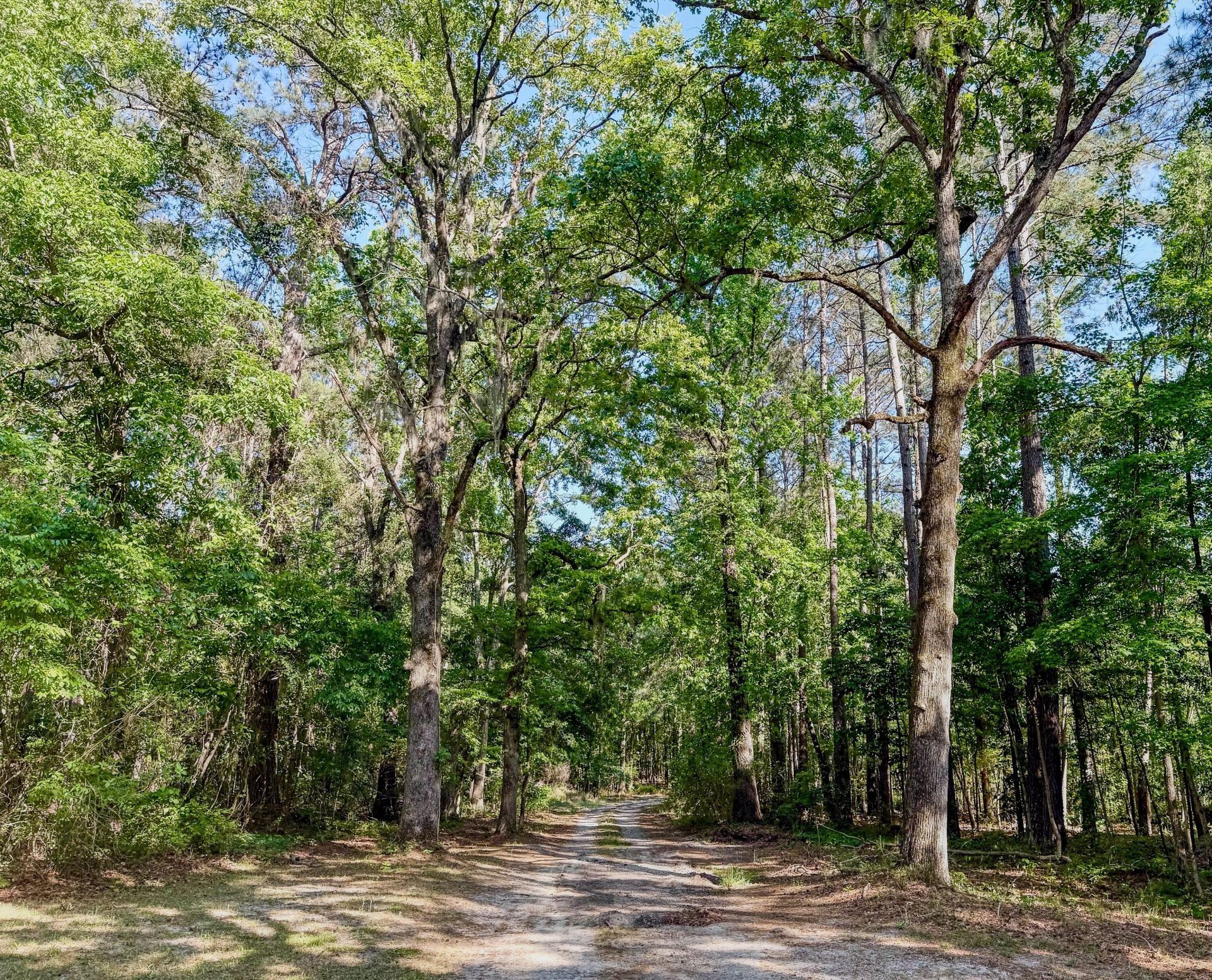 11481 Voorhees Road Photo 5