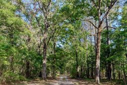 11481 Voorhees Road photo 4