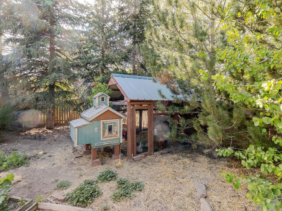 Property Image 54
