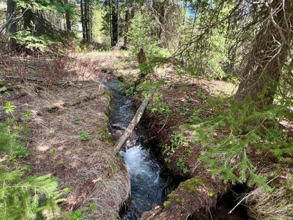 3549 Browning Road, ISLAND PARK, ID 83429