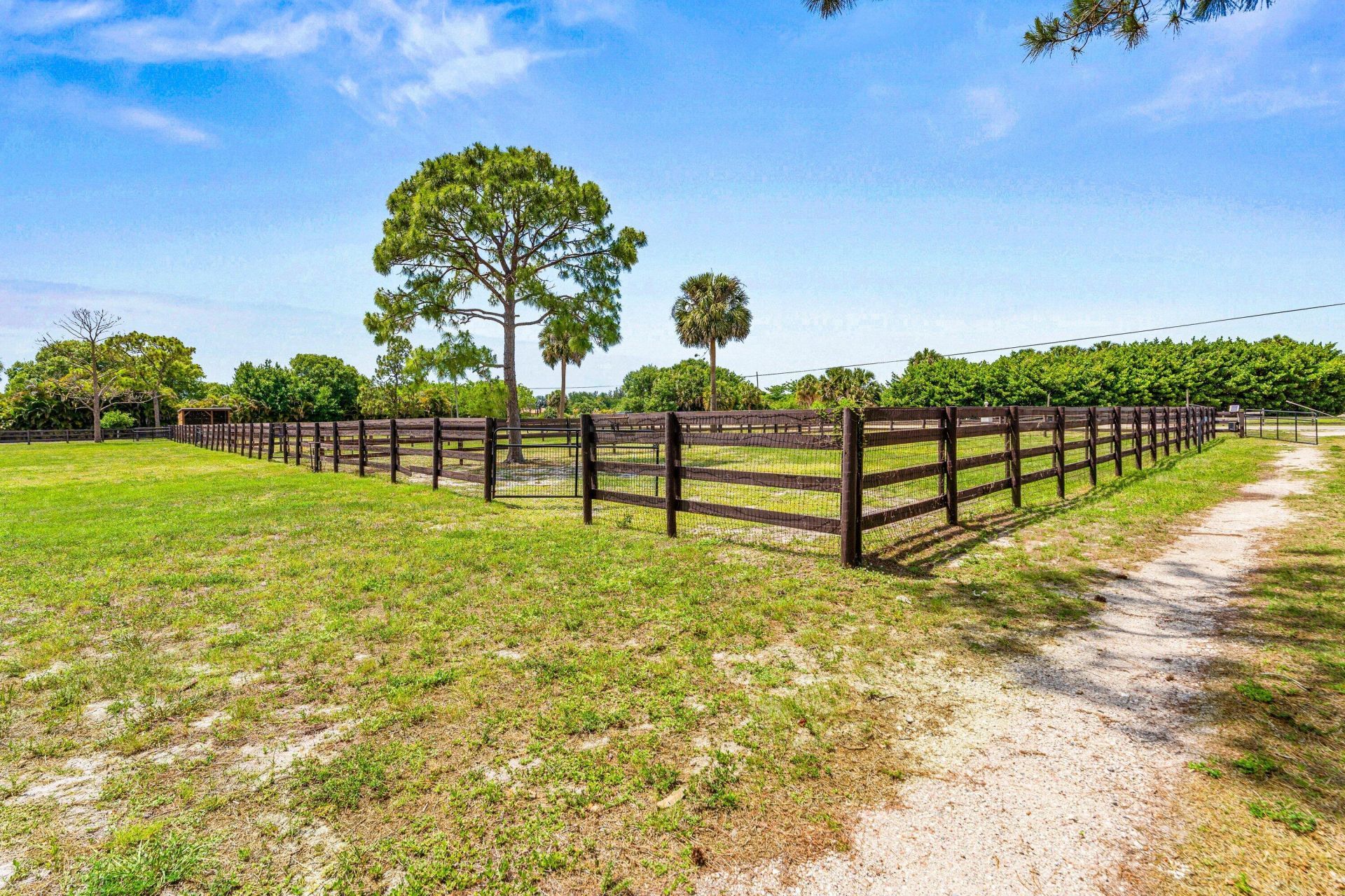 19482 Green Grove Court, Loxahatchee, FL 33470 Photo