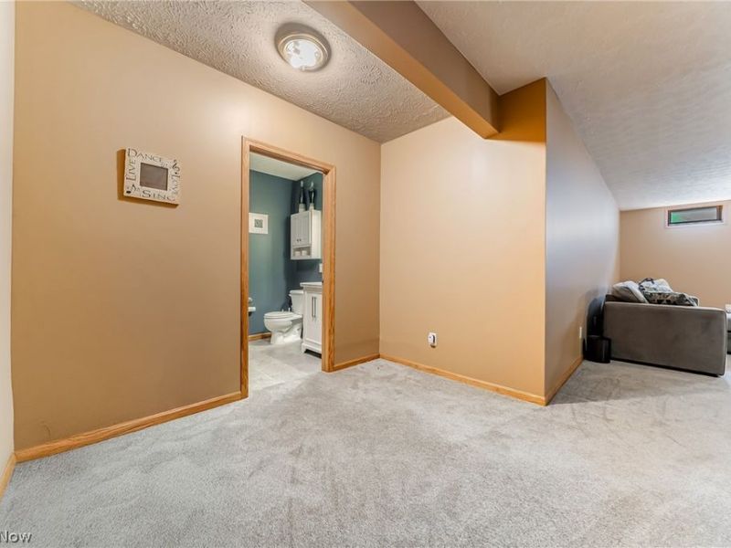 395 White Spruce Drive, Macedonia, OH 44056 Photo 35