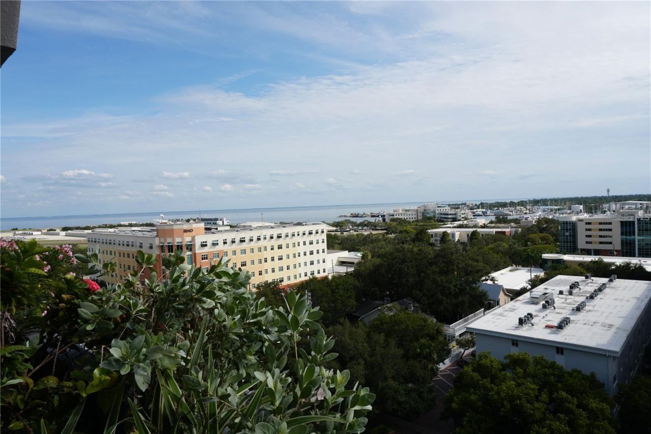 470 3rd Street S, Unit 309, Saint Petersburg, FL 33701 Photo