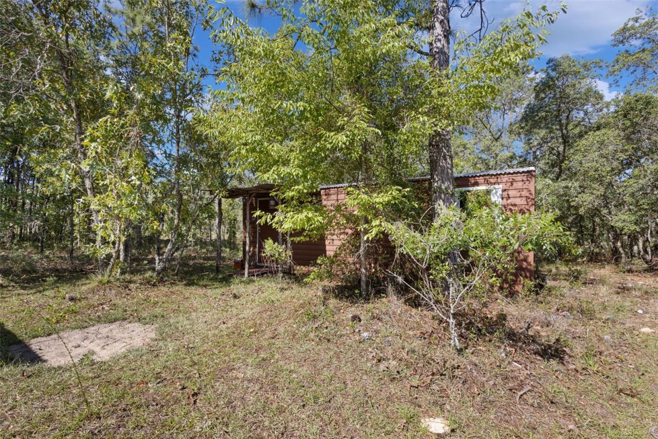 5330 SE 128th Terrace , Morriston, FL 32668 Photo
