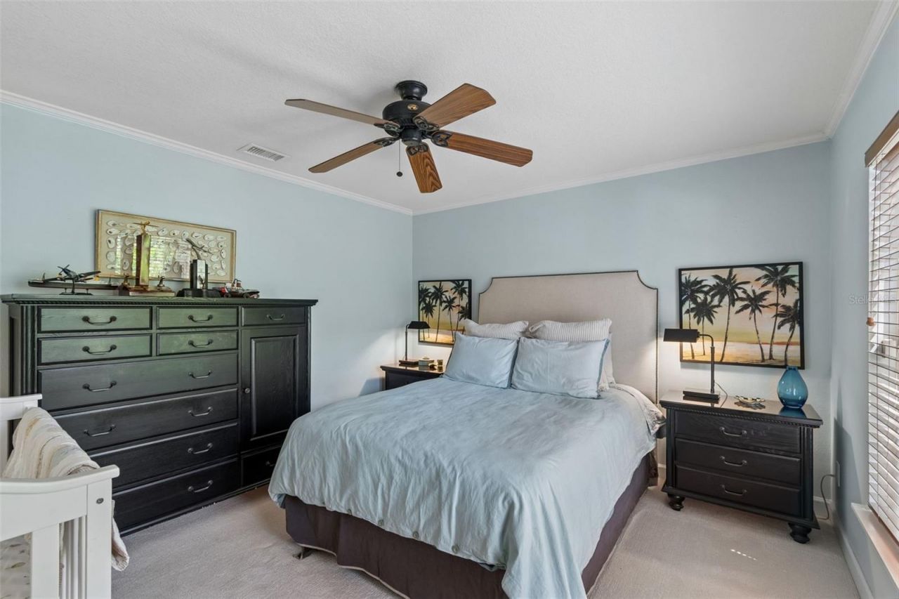 2941 W Bayshore Court, Tampa, FL 33611 Photo