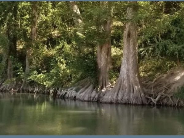 1331 Misty Ln, Spring Branch, TX 78070