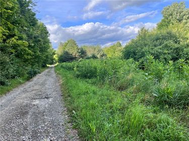 Greenbush Road, Erin, NY 14838