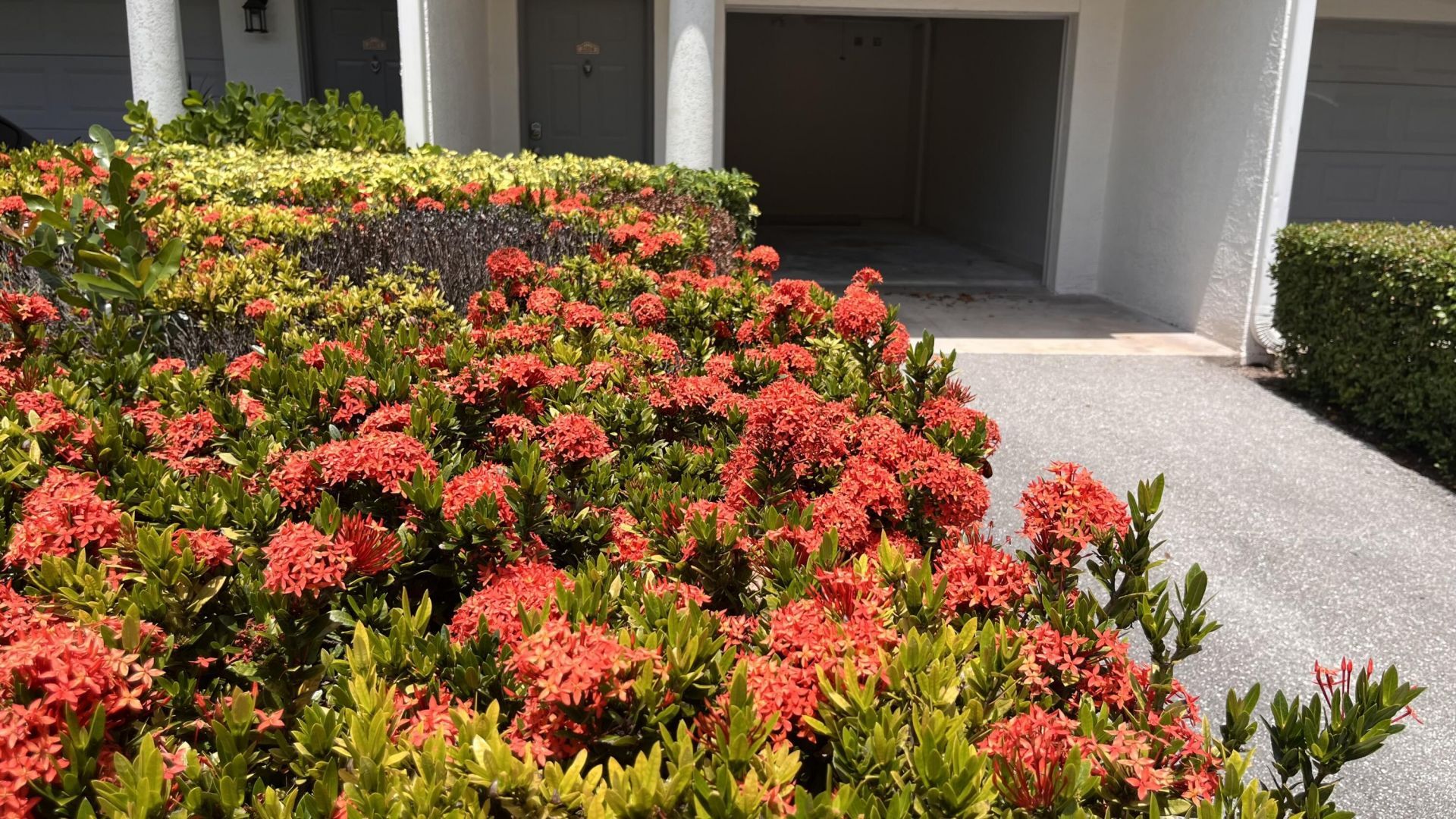 2048 Alta Meadows Lane, Unit 2004, Delray Beach, FL 33444 Photo