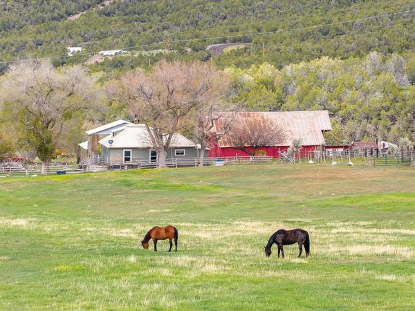 11260 54 7/10 Road , Molina, CO 81645