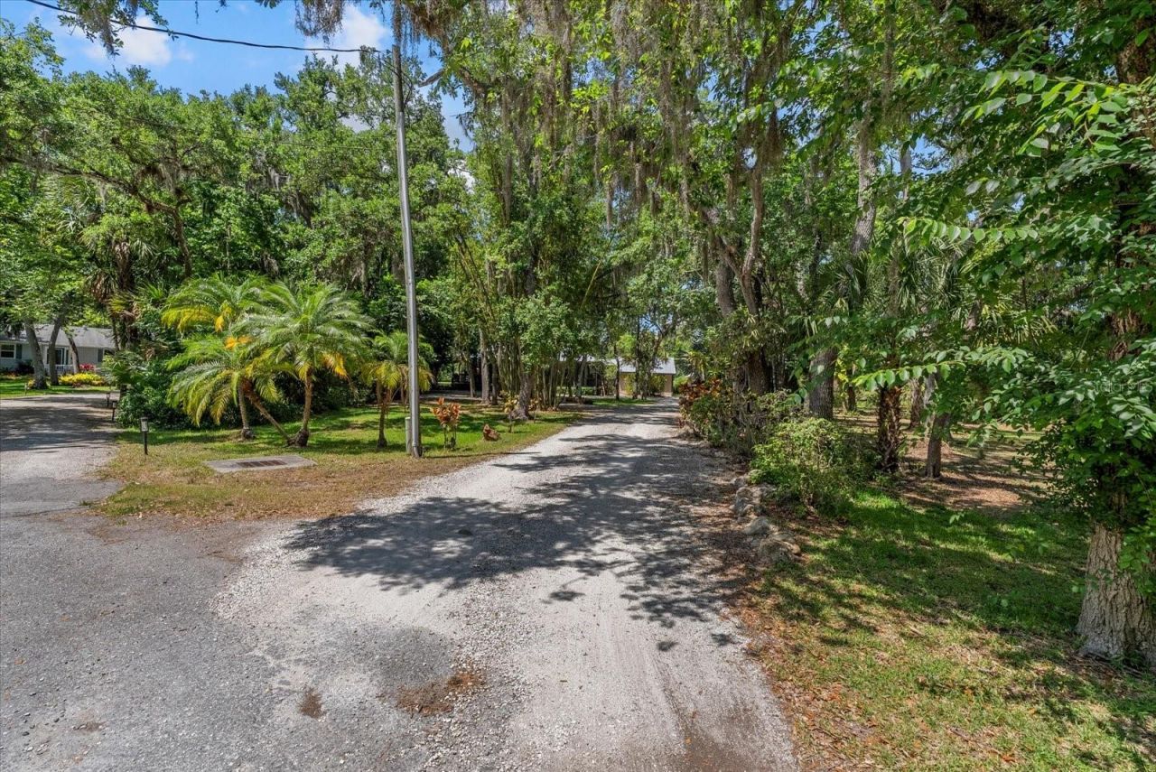 1165 Vereda Verde, Sarasota, FL 34232 Photo