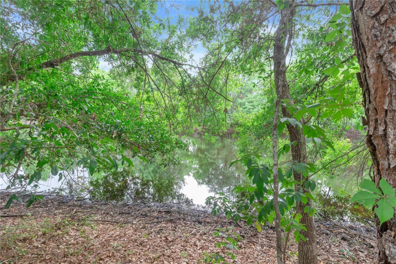 306 Reed Grass Drive, Oviedo, FL 32765 Photo