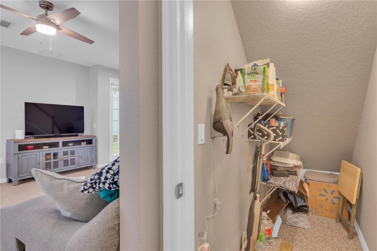 306 Reed Grass Drive, Oviedo, FL 32765 Photo